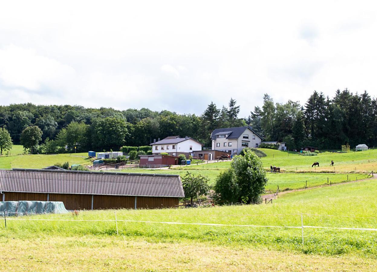 Ferienwohnung Roderath Nettersheim المظهر الخارجي الصورة