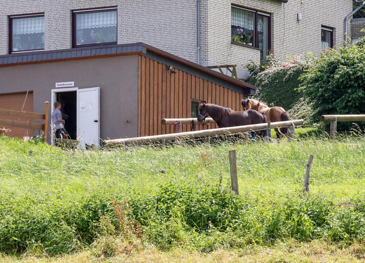 Ferienwohnung Roderath Nettersheim المظهر الخارجي الصورة