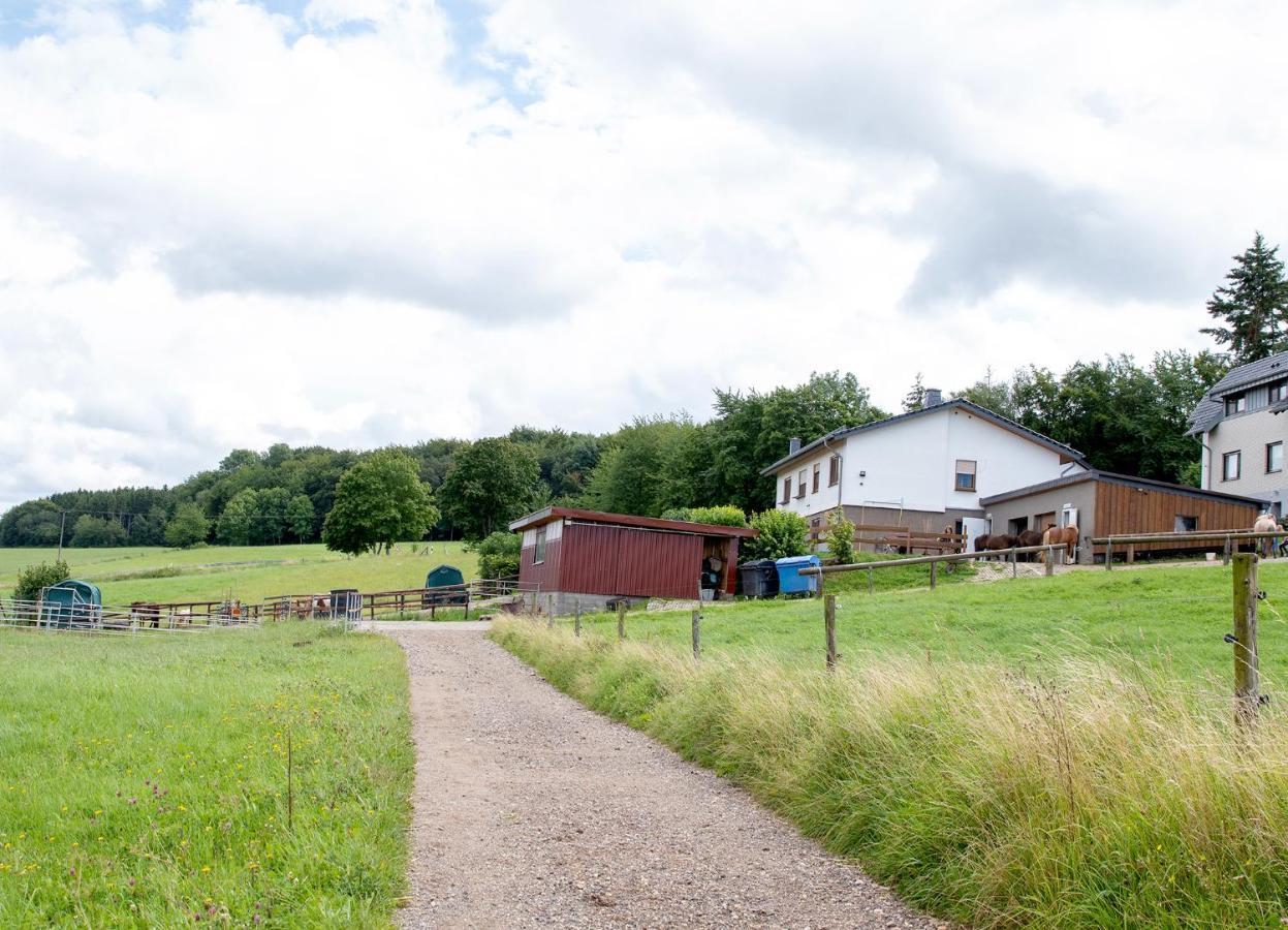 Ferienwohnung Roderath Nettersheim المظهر الخارجي الصورة