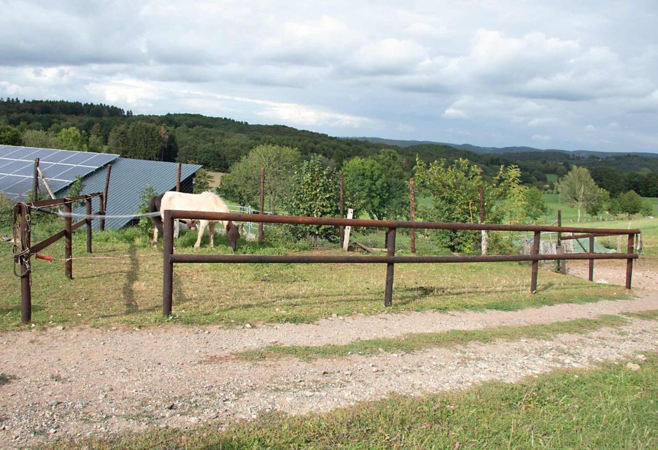 Ferienwohnung Roderath Nettersheim المظهر الخارجي الصورة