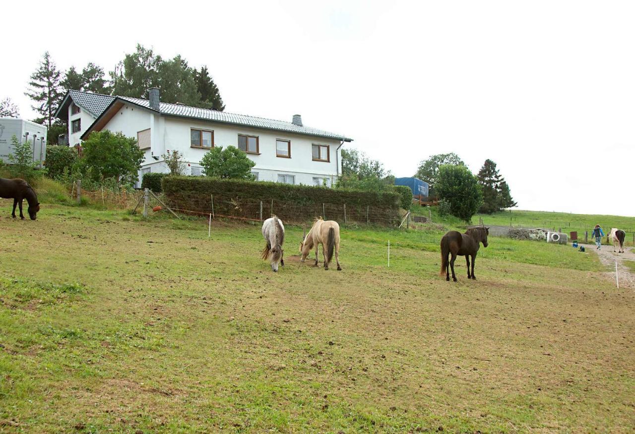 Ferienwohnung Roderath Nettersheim المظهر الخارجي الصورة